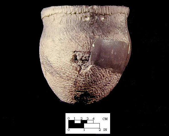 Shepard reconstructed vessel from the Shepard site 18MO3-SI Cat. #390889B. - Courtesy of the Smithsonian Institution, Museum of Natural History, Department of Anthropology.